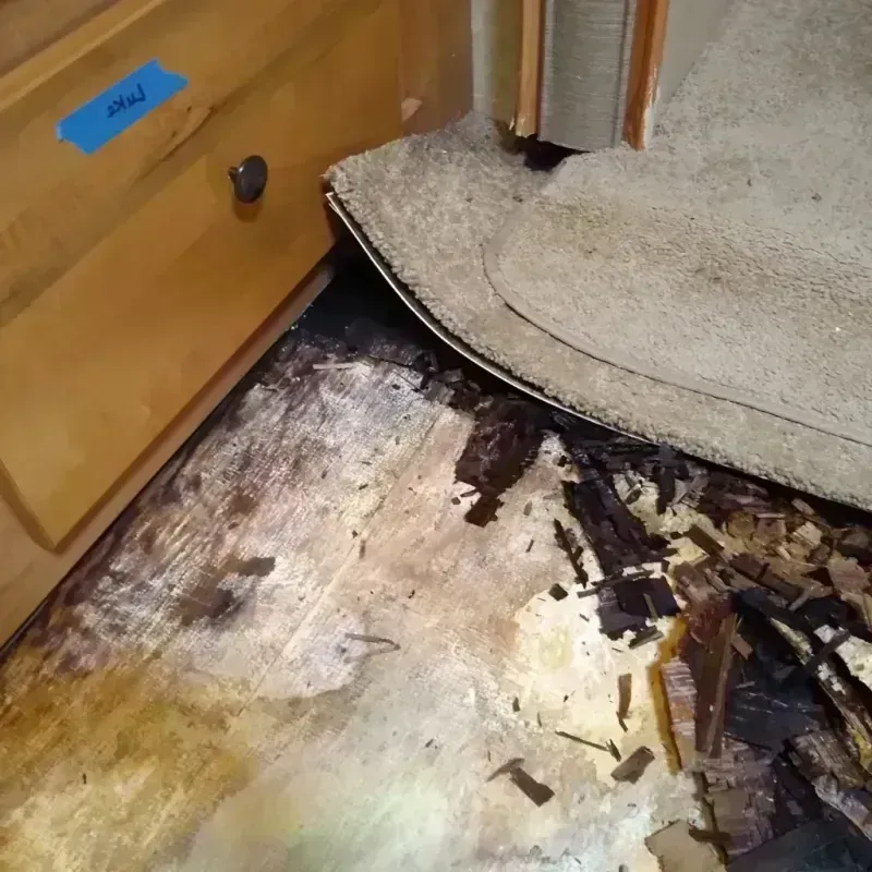 Wood Floor Water Damage in Watseka, IL